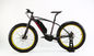 48V 10Ah Fat Tire Mountain Electric Bike 350W  Electric Powered Mountain Bike