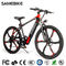 32KM/H 85km Fat Tyre Mountain Electric Bike With PAS