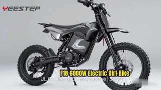 F18 DIRT BIKE